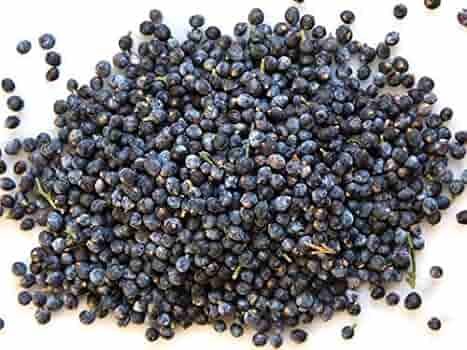 Common Juniper Berries Juniper Berries7-4316118-16138.jpg